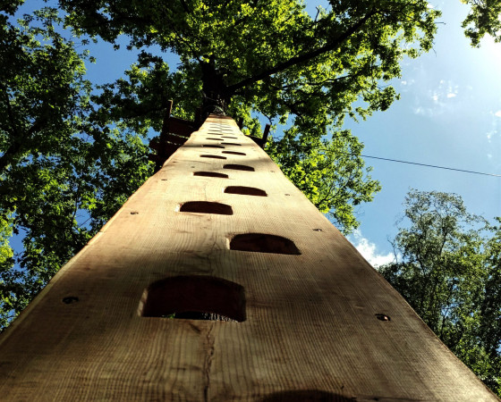 Der Längste in der Region: Zipline-Parcours mit 12 Stationen